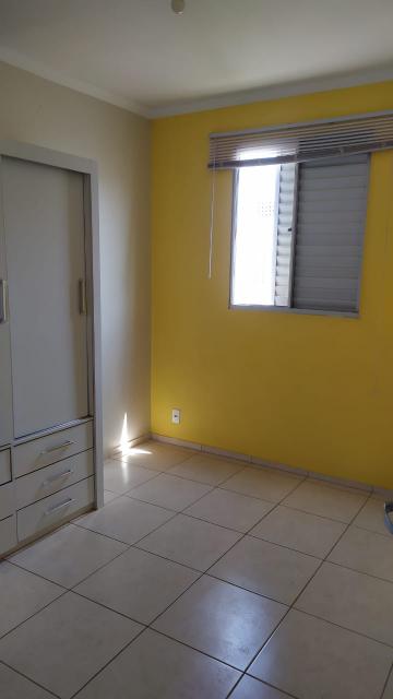 Alugar Apartamentos / Padrão em Ribeirão Preto R$ 1.100,00 - Foto 15