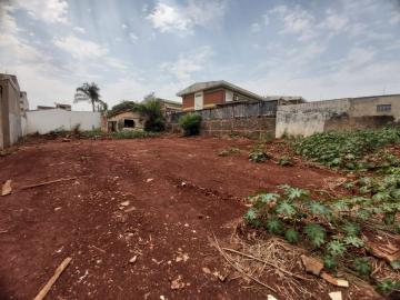 imagem 3 - Terreno misto de 946m² para locação - Jardim Paulistano imagem 3 - Terreno misto de 946m² para locação - Jardim Paulistano