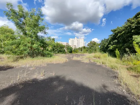 imagem 4 - Terreno de esquina com 5.708m² para locação e venda - Jardim Palma Travassos imagem 4 - Terreno de esquina com 5.708m² para locação e venda - Jardim Palma Travassos