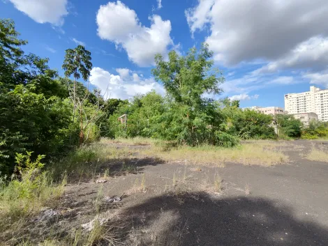 imagem 5 - Terreno de esquina com 5.708m² para locação e venda - Jardim Palma Travassos imagem 5 - Terreno de esquina com 5.708m² para locação e venda - Jardim Palma Travassos