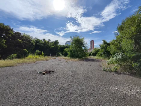 imagem 1 - Terreno de esquina com 5.708m² para locação e venda - Jardim Palma Travassos imagem 1 - Terreno de esquina com 5.708m² para locação e venda - Jardim Palma Travassos