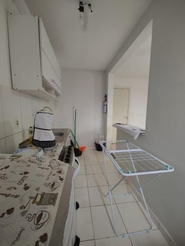 imagem 4 - *** LINDO APARTAMENTO COM PREÇO EXCELENTE *** imagem 4 - *** LINDO APARTAMENTO COM PREÇO EXCELENTE ***