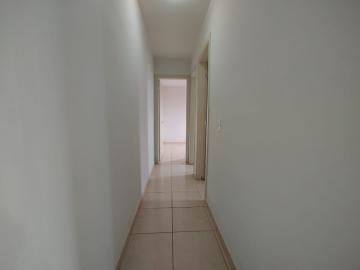 imagem 5 - *** LINDO APARTAMENTO COM PREÇO EXCELENTE *** imagem 5 - *** LINDO APARTAMENTO COM PREÇO EXCELENTE ***