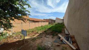 imagem 1 - Excelente terreno em Brodowski imagem 1 - Excelente terreno em Brodowski