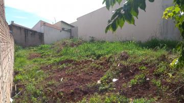 imagem 3 - Excelente terreno em Brodowski imagem 3 - Excelente terreno em Brodowski