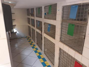 imagem 5 - Comercial padrão - Casa comercial imagem 5 - Comercial padrão - Casa comercial