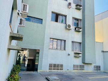 imagem 1 - LINDO APARTAMENTO PRÓXIMO A AV CASTELO BRANCO imagem 1 - LINDO APARTAMENTO PRÓXIMO A AV CASTELO BRANCO