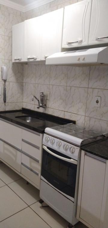 imagem 4 - Apartamento - Padrão imagem 4 - Apartamento - Padrão