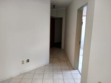 imagem 4 - Apartamento térreo com 02 quartos - Vila Seixas imagem 4 - Apartamento térreo com 02 quartos - Vila Seixas