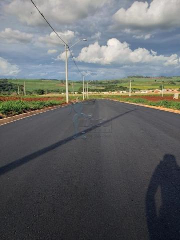 imagem 2 - Terreno - Padrão imagem 2 - Terreno - Padrão