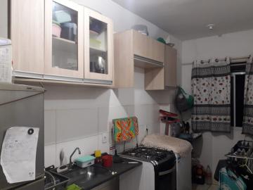 Apartamentos / Padrão em Ribeirão Preto 