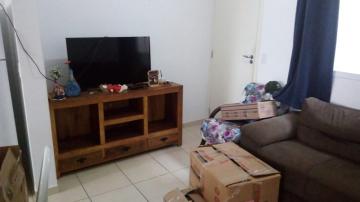 imagem 1 - APARTAMENTO NO JARDIM HEITOR RIGON imagem 1 - APARTAMENTO NO JARDIM HEITOR RIGON
