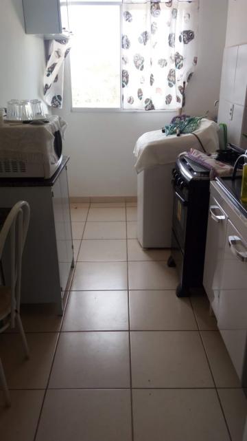 imagem 5 - APARTAMENTO NO JARDIM HEITOR RIGON imagem 5 - APARTAMENTO NO JARDIM HEITOR RIGON