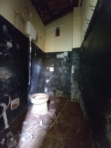 imagem 5 - Casa - Padrão imagem 5 - Casa - Padrão