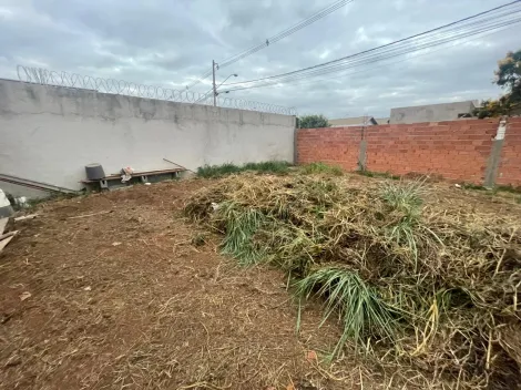 imagem 1 - Terreno - Padrão imagem 1 - Terreno - Padrão