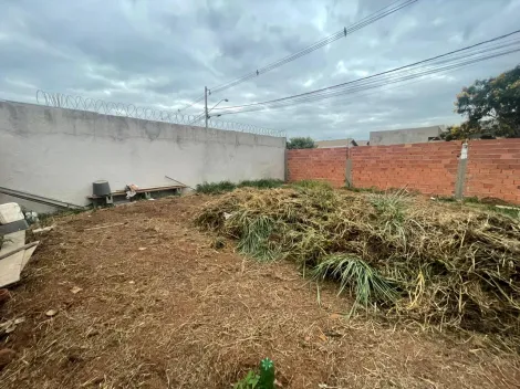 imagem 2 - Terreno - Padrão imagem 2 - Terreno - Padrão