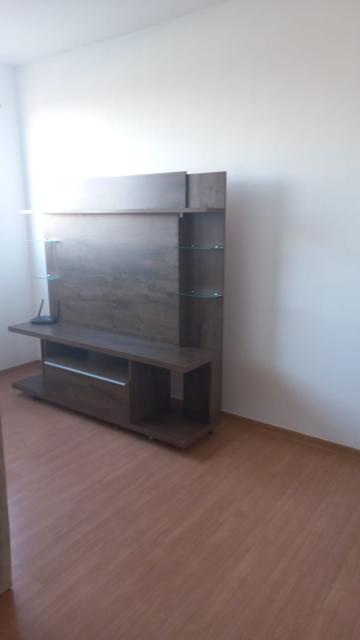 imagem 3 - APARTAMENTO NA QUINTA DA PRIMAVERA imagem 3 - APARTAMENTO NA QUINTA DA PRIMAVERA