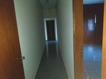 imagem 5 - Casa sobrado de 3 quartos para locação - Jardim Piratininga imagem 5 - Casa sobrado de 3 quartos para locação - Jardim Piratininga
