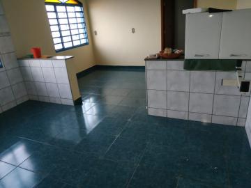 imagem 3 - Casa sobrado de 3 quartos para locação - Jardim Piratininga imagem 3 - Casa sobrado de 3 quartos para locação - Jardim Piratininga
