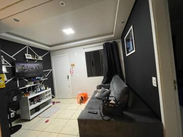 imagem 3 - Apartamento de 42m² com 02 quartos para venda - Jardim José Sampaio Júnior imagem 3 - Apartamento de 42m² com 02 quartos para venda - Jardim José Sampaio Júnior