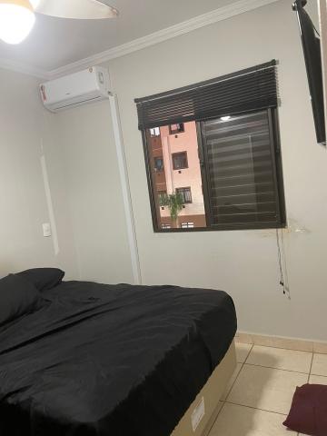 imagem 5 - Apartamento de 42m² com 02 quartos para venda - Jardim José Sampaio Júnior imagem 5 - Apartamento de 42m² com 02 quartos para venda - Jardim José Sampaio Júnior