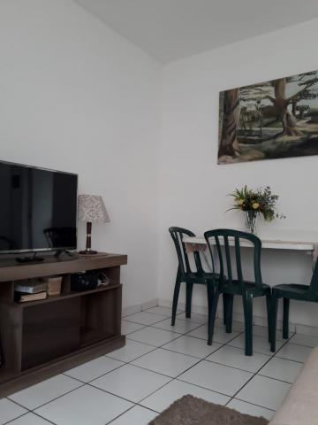 imagem 2 - Apartamento de 02 quartos para locação - Ipiranga imagem 2 - Apartamento de 02 quartos para locação - Ipiranga
