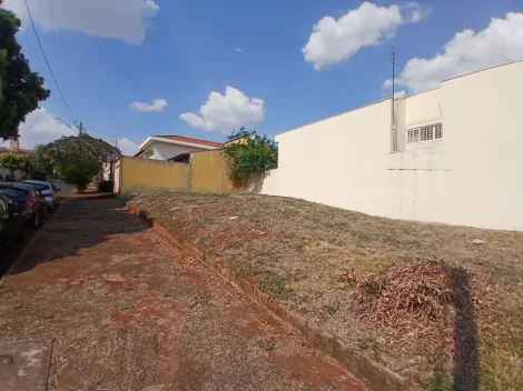 imagem 3 - Terreno com 300m² próximo ao Ribeirão Shoping à venda - Alto da Boa Vista imagem 3 - Terreno com 300m² próximo ao Ribeirão Shoping à venda - Alto da Boa Vista