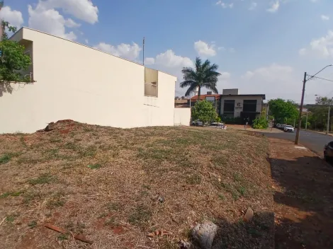 imagem 4 - Terreno com 300m² próximo ao Ribeirão Shoping à venda - Alto da Boa Vista imagem 4 - Terreno com 300m² próximo ao Ribeirão Shoping à venda - Alto da Boa Vista