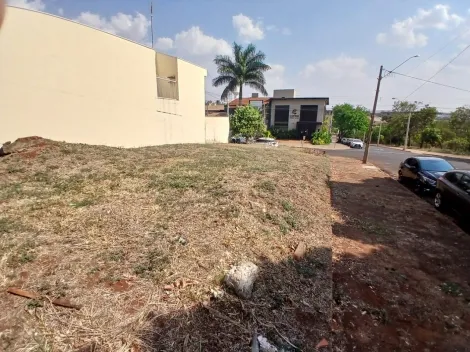 imagem 5 - Terreno com 300m² próximo ao Ribeirão Shoping à venda - Alto da Boa Vista imagem 5 - Terreno com 300m² próximo ao Ribeirão Shoping à venda - Alto da Boa Vista