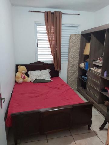 imagem 4 - APARTAMENTO NO JARDIM EUGÊNIO MENDES LOPES imagem 4 - APARTAMENTO NO JARDIM EUGÊNIO MENDES LOPES