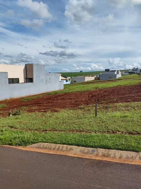 imagem 2 - Terreno de 359m² à venda - Cravinhos imagem 2 - Terreno de 359m² à venda - Cravinhos