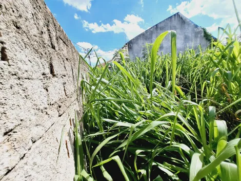 imagem 3 - Terreno de 332m² para locação e venda - Vila Tibério imagem 3 - Terreno de 332m² para locação e venda - Vila Tibério