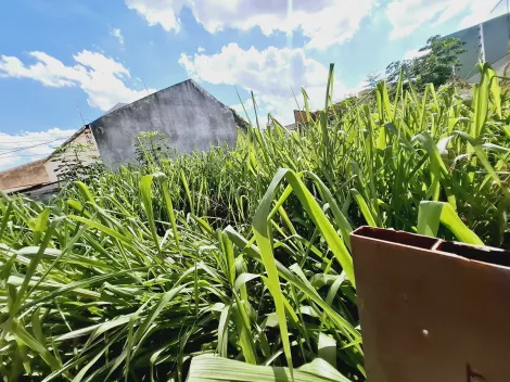 imagem 4 - Terreno de 332m² para locação e venda - Vila Tibério imagem 4 - Terreno de 332m² para locação e venda - Vila Tibério