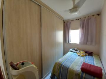 imagem 4 - Casa - Padrão imagem 4 - Casa - Padrão