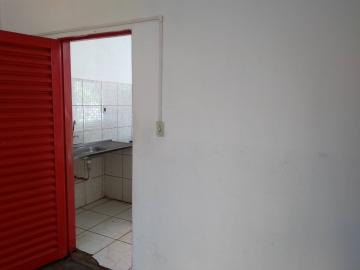 imagem 5 - CASA COMERCIAL EM BARRINHA imagem 5 - CASA COMERCIAL EM BARRINHA
