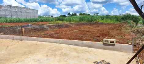 imagem 1 - TERRENO DE 240 M ² imagem 1 - TERRENO DE 240 M ²