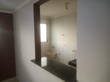 imagem 2 - APARTAMENTO NO PARQUE SÃO SEBASTIÃO imagem 2 - APARTAMENTO NO PARQUE SÃO SEBASTIÃO