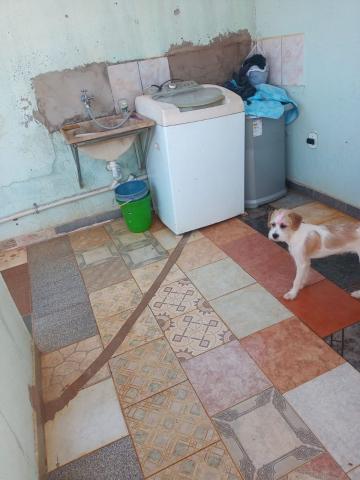 imagem 3 - Comercial padrão - Casa comercial imagem 3 - Comercial padrão - Casa comercial