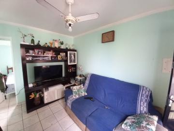 imagem 1 - APARTAMENTO NO JARDIM JOÃO ROSSI imagem 1 - APARTAMENTO NO JARDIM JOÃO ROSSI