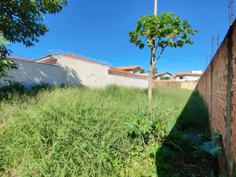 imagem 1 - Terreno de 300m² à venda - Jardim Califórnia imagem 1 - Terreno de 300m² à venda - Jardim Califórnia