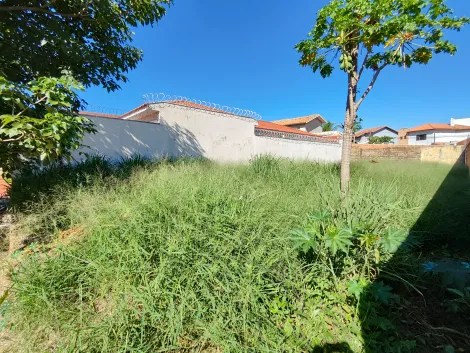 imagem 2 - Terreno de 300m² à venda - Jardim Califórnia imagem 2 - Terreno de 300m² à venda - Jardim Califórnia