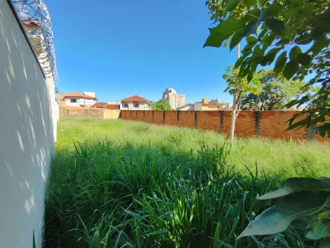 imagem 3 - Terreno de 300m² à venda - Jardim Califórnia imagem 3 - Terreno de 300m² à venda - Jardim Califórnia