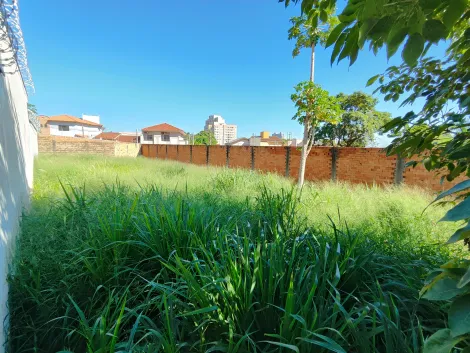 imagem 4 - Terreno de 300m² à venda - Jardim Califórnia imagem 4 - Terreno de 300m² à venda - Jardim Califórnia