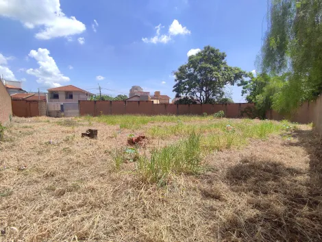 imagem 2 - Terreno de 381m² à venda - Jardim Califórnia imagem 2 - Terreno de 381m² à venda - Jardim Califórnia