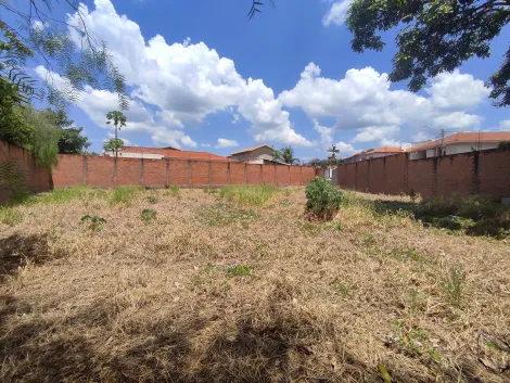 imagem 4 - Terreno de 381m² à venda - Jardim Califórnia imagem 4 - Terreno de 381m² à venda - Jardim Califórnia