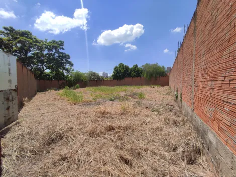 imagem 5 - Terreno de 381m² à venda - Jardim Califórnia imagem 5 - Terreno de 381m² à venda - Jardim Califórnia