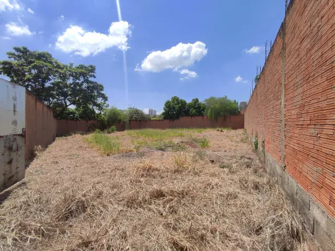 imagem 3 - Terreno de 315m² à venda - Jardim Califórnia imagem 3 - Terreno de 315m² à venda - Jardim Califórnia