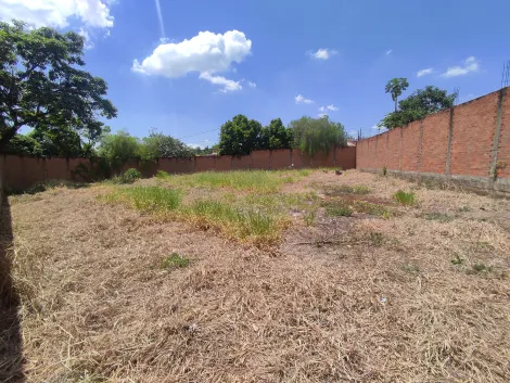 imagem 4 - Terreno de 315m² à venda - Jardim Califórnia imagem 4 - Terreno de 315m² à venda - Jardim Califórnia
