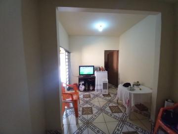 imagem 1 - Casa - Padrão imagem 1 - Casa - Padrão