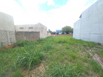 imagem 2 - Terreno de 600m² murado para locação - Vila Mariana imagem 2 - Terreno de 600m² murado para locação - Vila Mariana